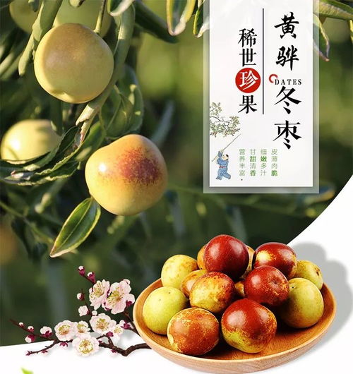 萬德隆黃驊冬棗 只為您更好的享受健康品質生活